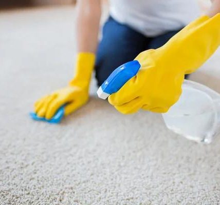 Restore Your Carpet with Professional Tacoma Cleaners