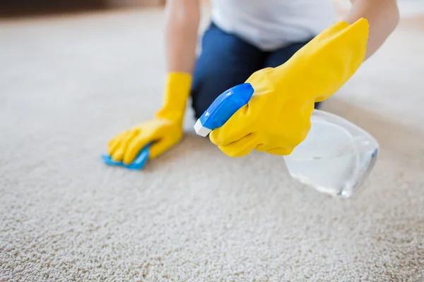 Restore Your Carpet with Professional Tacoma Cleaners