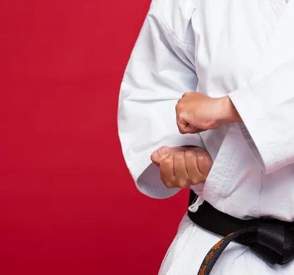 Ellicott City Martial Arts Instructors: Guiding You Toward Mastery